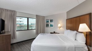 Habitación de hotel con una cama grande, un televisor de pantalla plana, un escritorio y una ventana con cortinas.