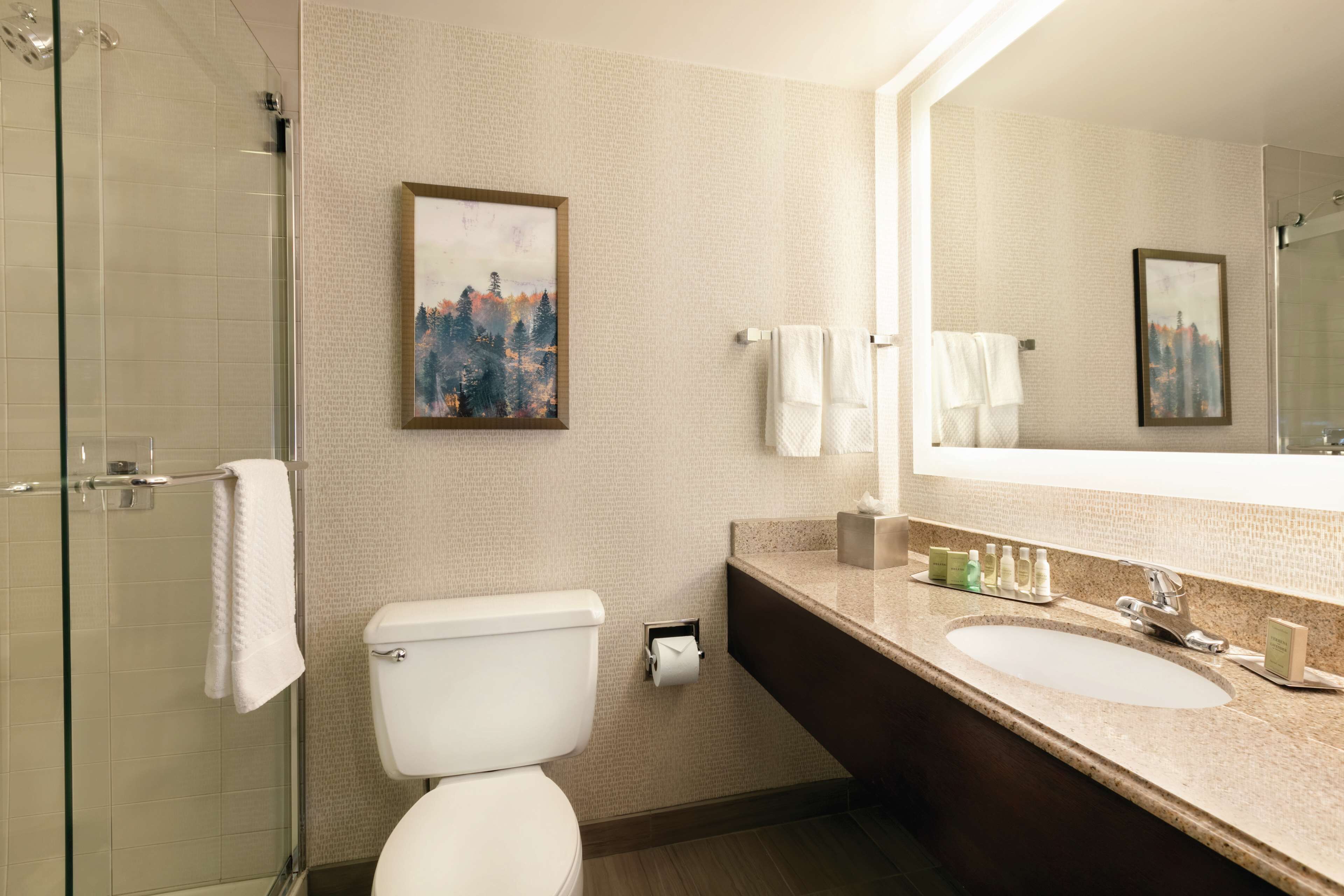 A modern bathroom with a glass-enclosed shower, a toilet, a sink with a mirror, and two framed pictures on the wall.