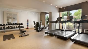 A gym with treadmills, a bench, dumbbells, and a mirror.