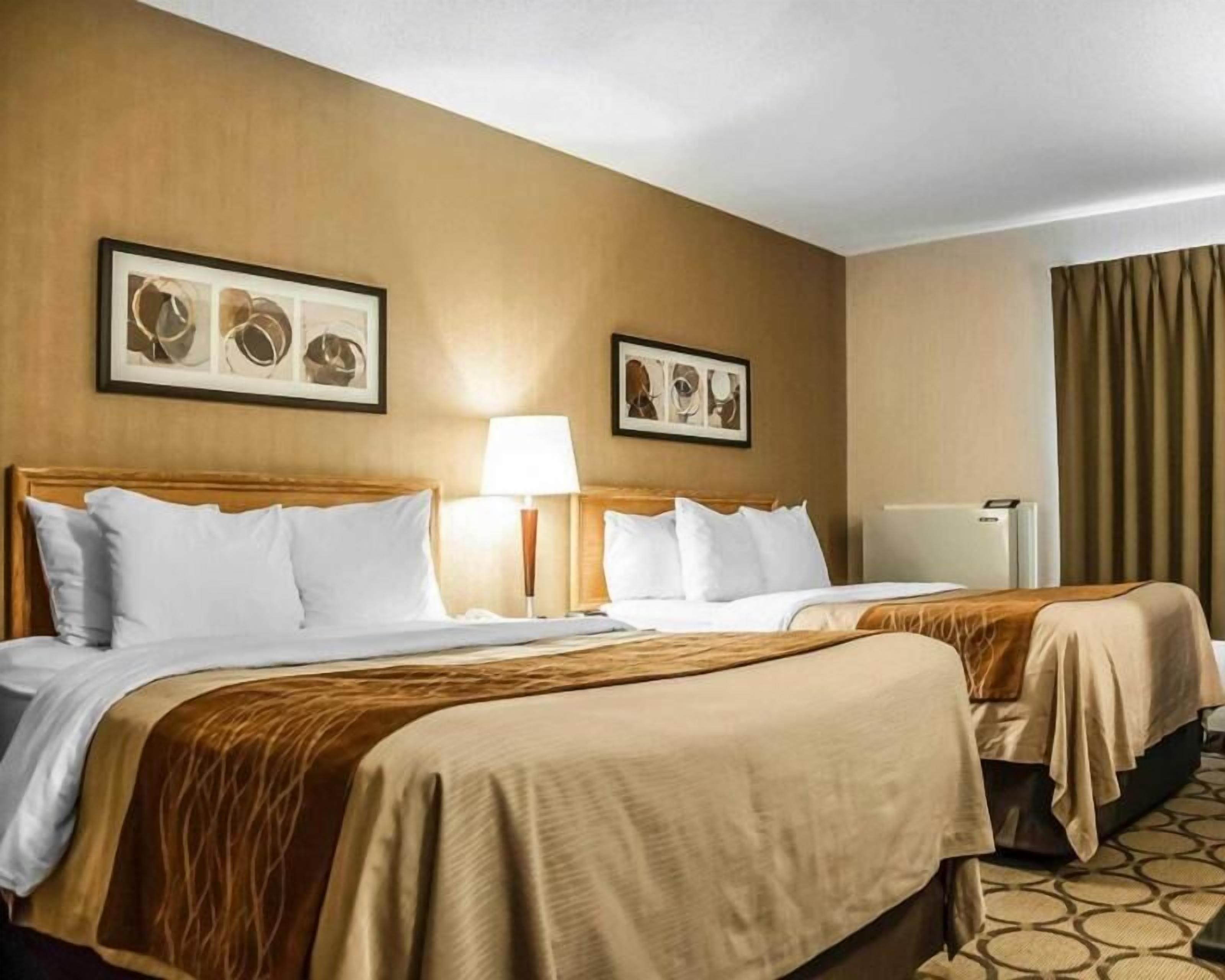 Premium bedding, desk, blackout drapes, soundproofing