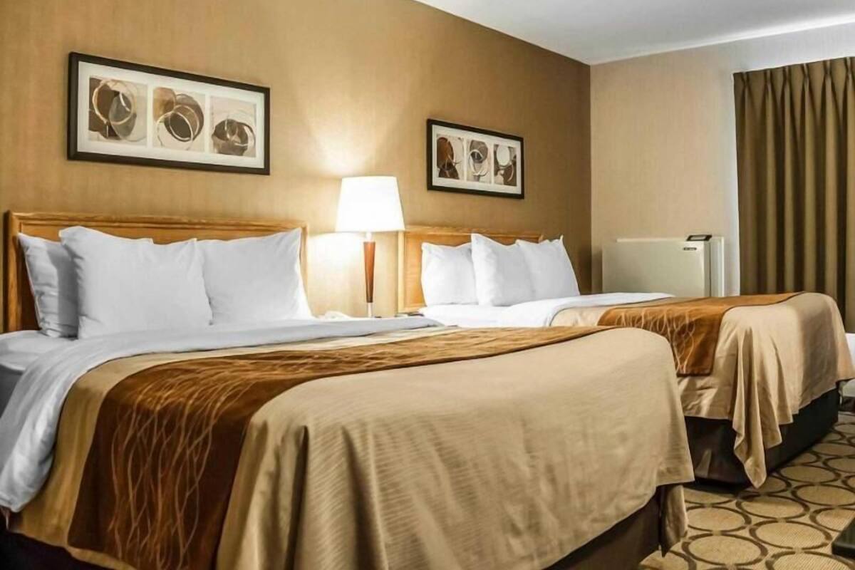 A hotel room with two beds, a lamp, a radiator, and two framed pictures on the wall.
