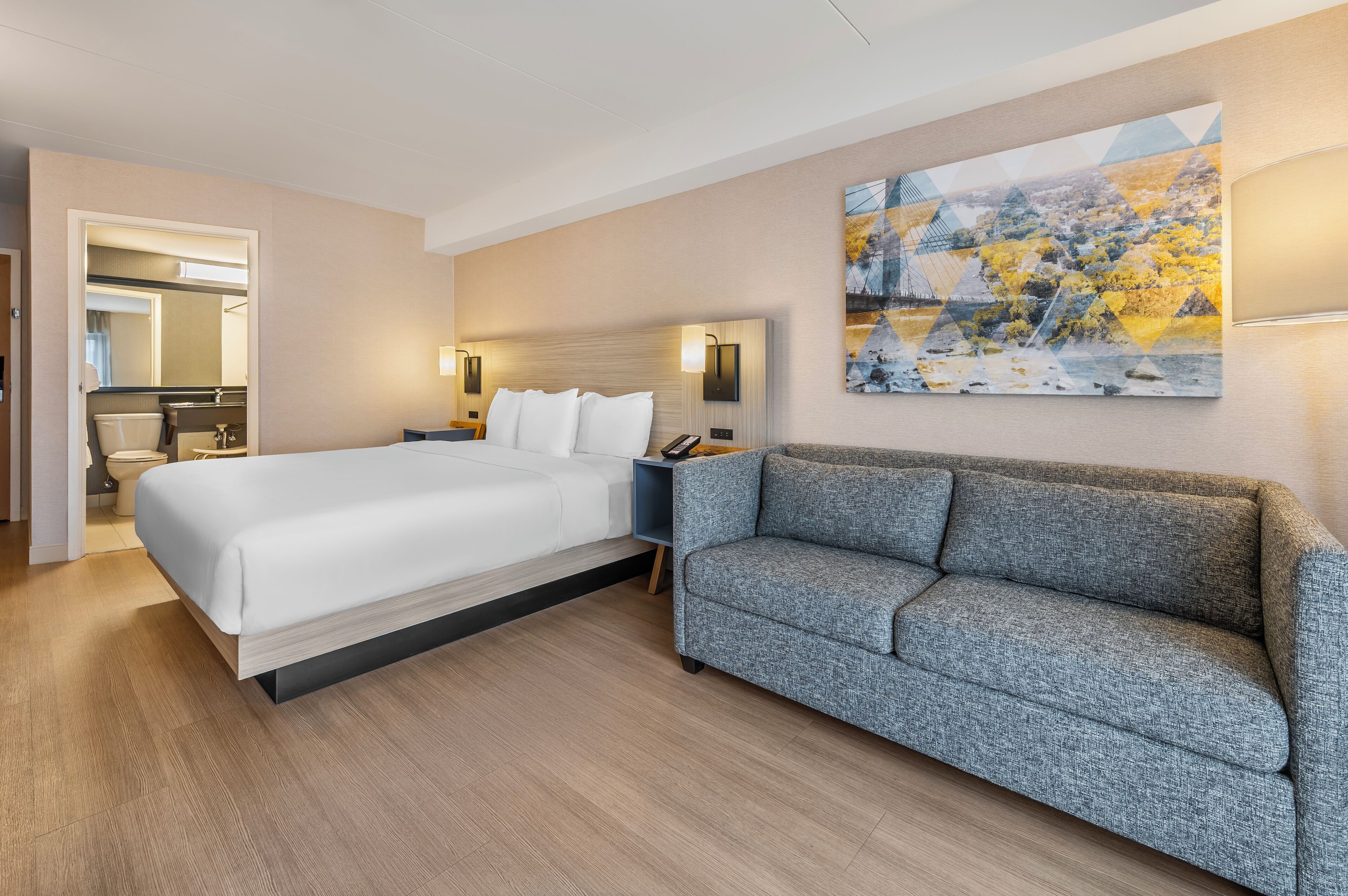 Room, 1 King Bed with Sofa bed, Accessible, Non Smoking