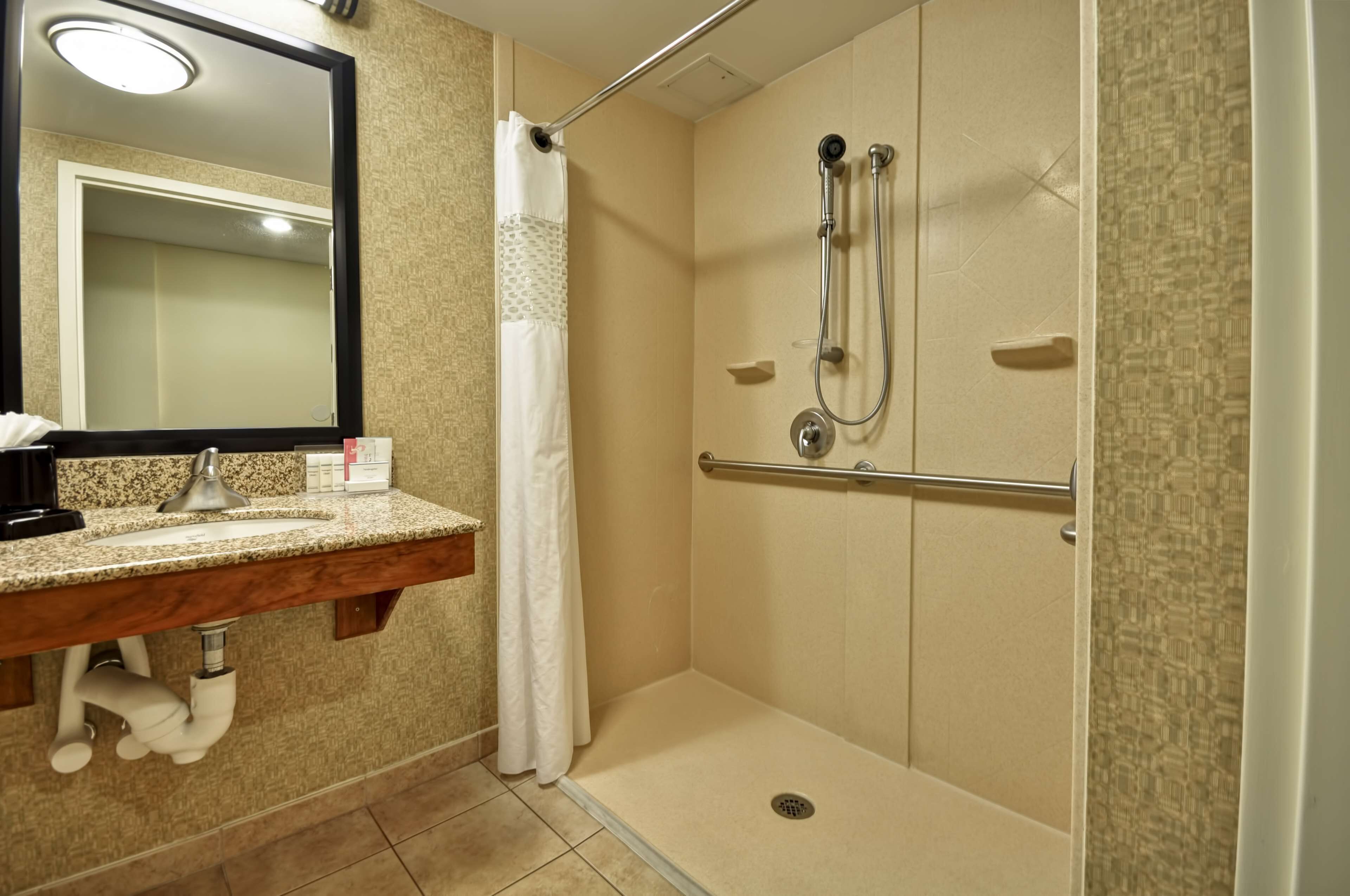 room, 1 king bed, accessible, non smoking | bathroom | combined shower/bathtub, free toiletries, hair dryer, towels