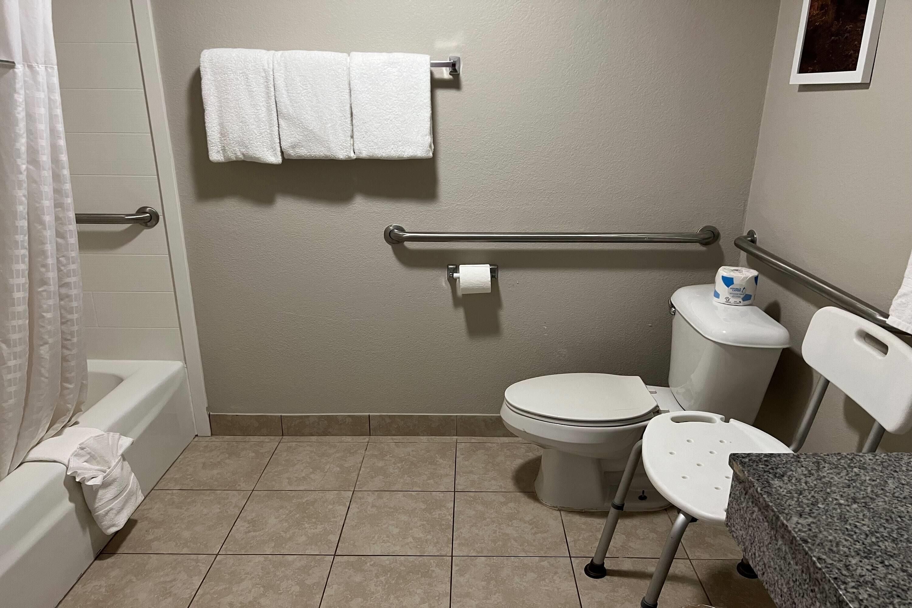 Ein Badezimmer mit Toilette, Haltegriffen, einer Duschvorhang und einem Handtuchhalter.