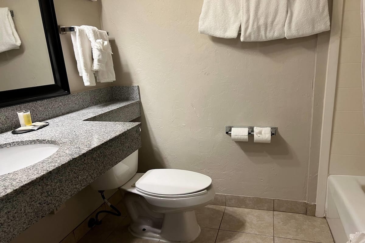 Une salle de bain avec un lavabo, des toilettes et une baignoire.
