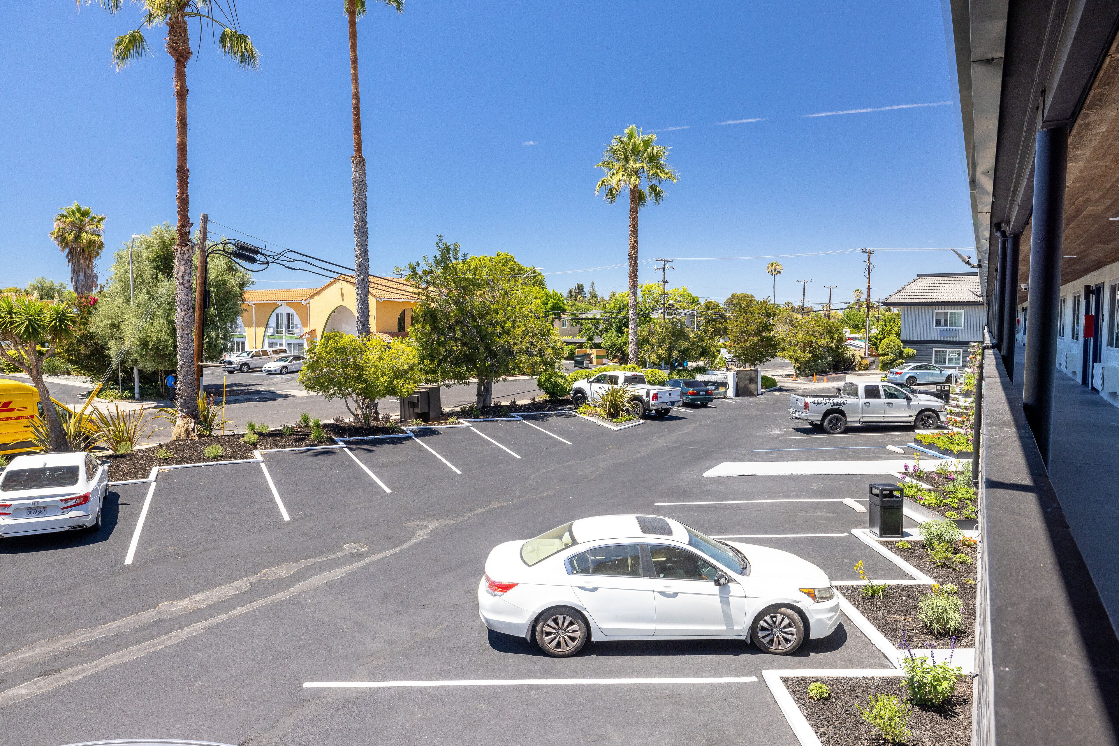 A parking lot with several cars, including a white sedan and a white pickup truck. There are palm trees and a building with a yellow facade in the background.
