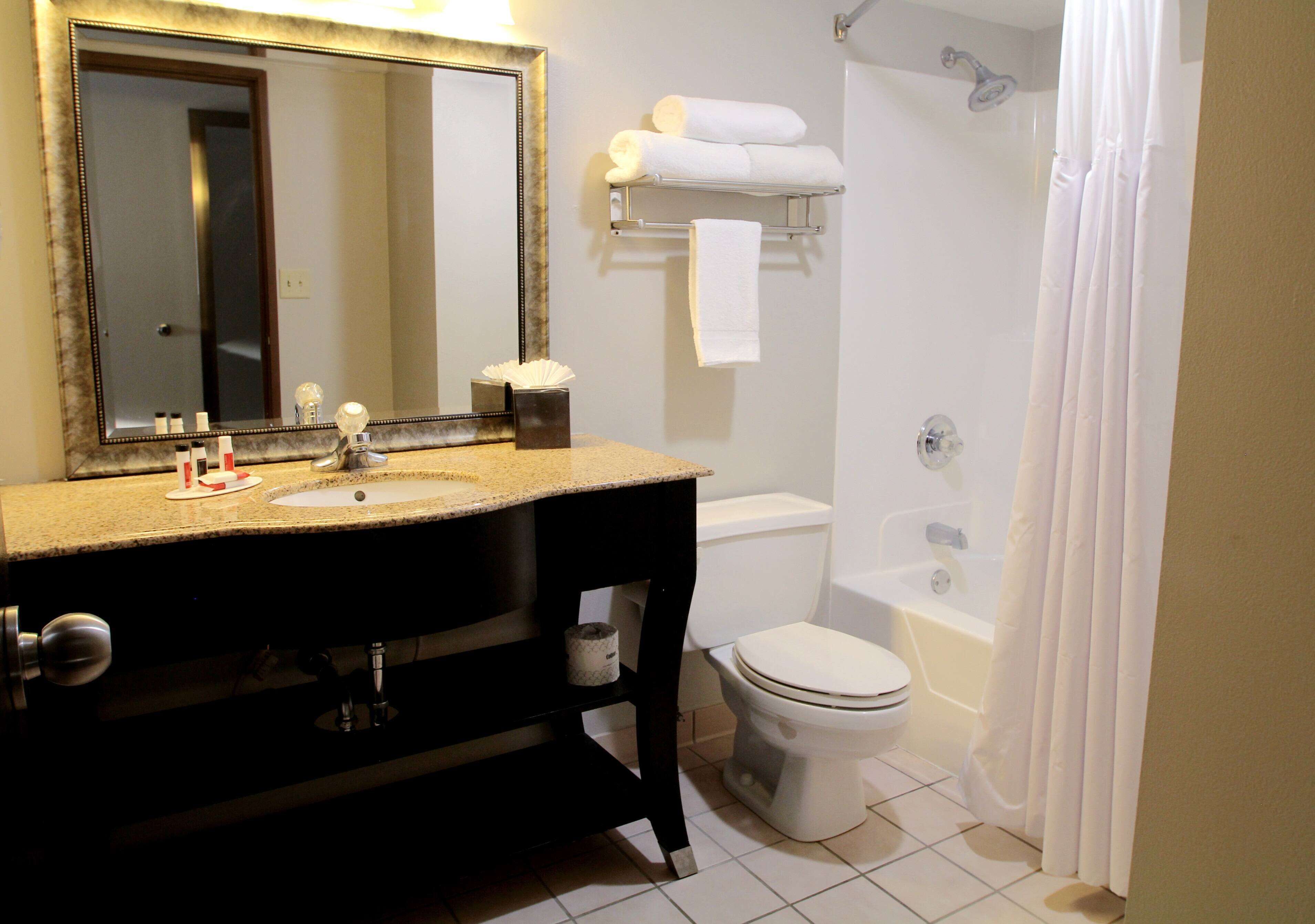 Une salle de bain équipée d’un lavabo, d’un miroir, de toilettes et d’une baignoire.