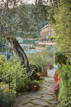 A stone pathway leading to a building with balconies, surrounded by lush greenery and potted plants.
