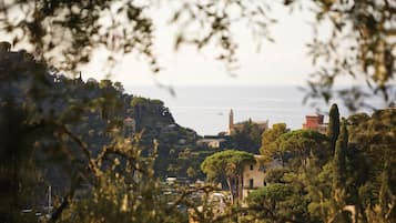 Un pueblo costero con edificios rodeados de árboles y vista al mar.