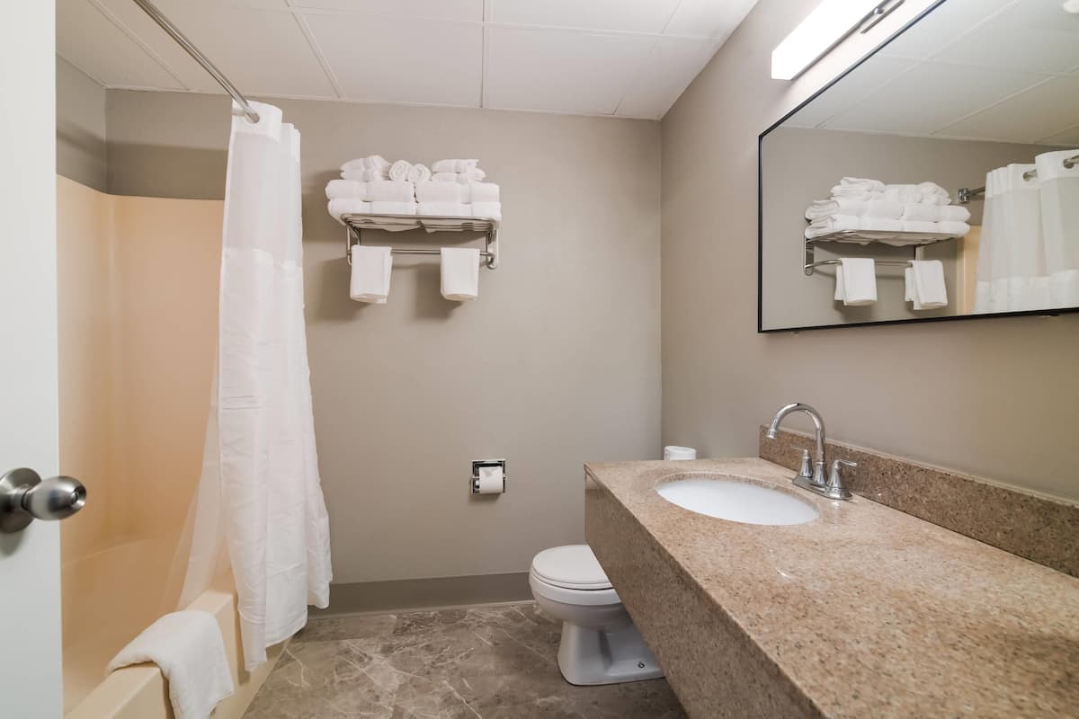 standard room, 2 queen beds, non smoking | premium bedding, desk, iron/ironing board, free wifi