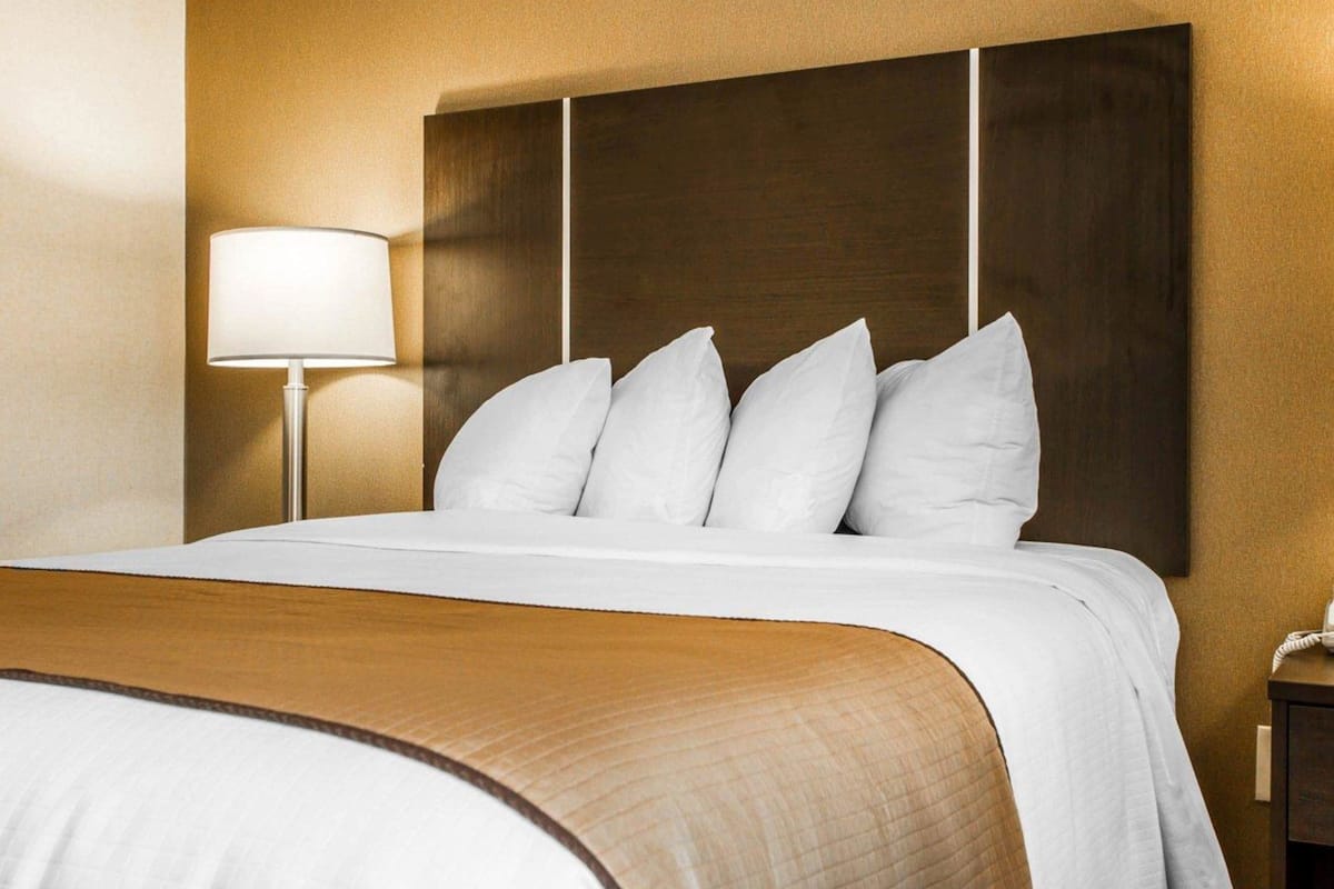 standard room, 1 queen bed, non smoking | premium bedding, desk, iron/ironing board, free wifi