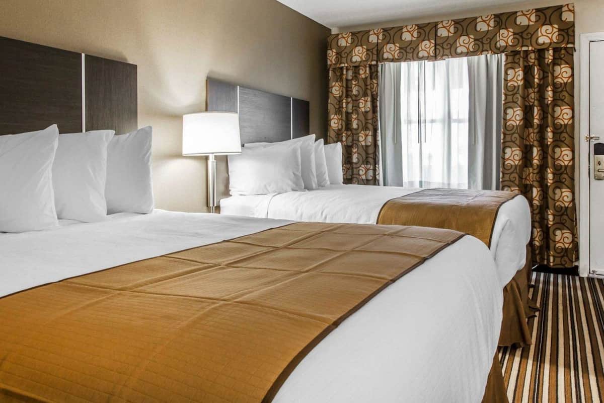Premium bedding, desk, iron/ironing board, free WiFi
