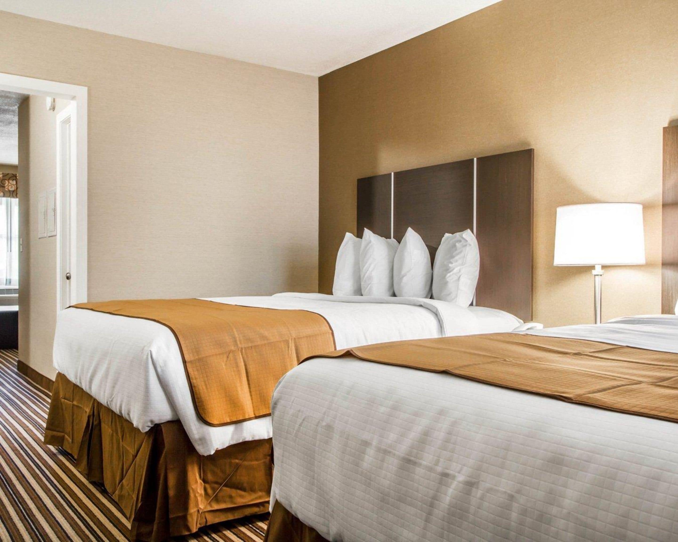 Habitación de hotel con dos camas, un cabecero grande, una lámpara de noche y una alfombra a rayas.