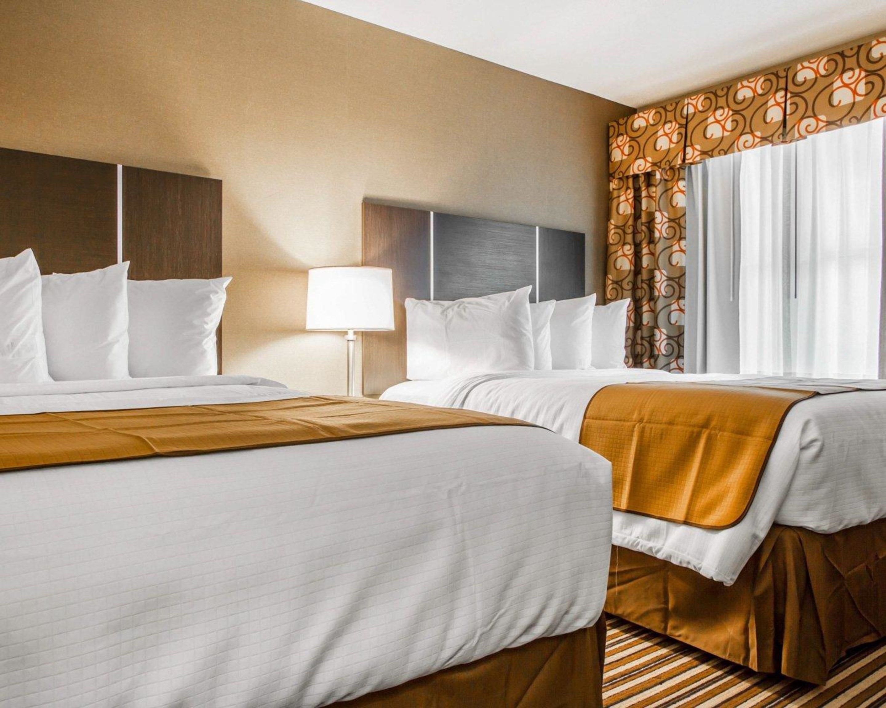 suite, multiple beds, non smoking | premium bedding, desk, iron/ironing board, free wifi