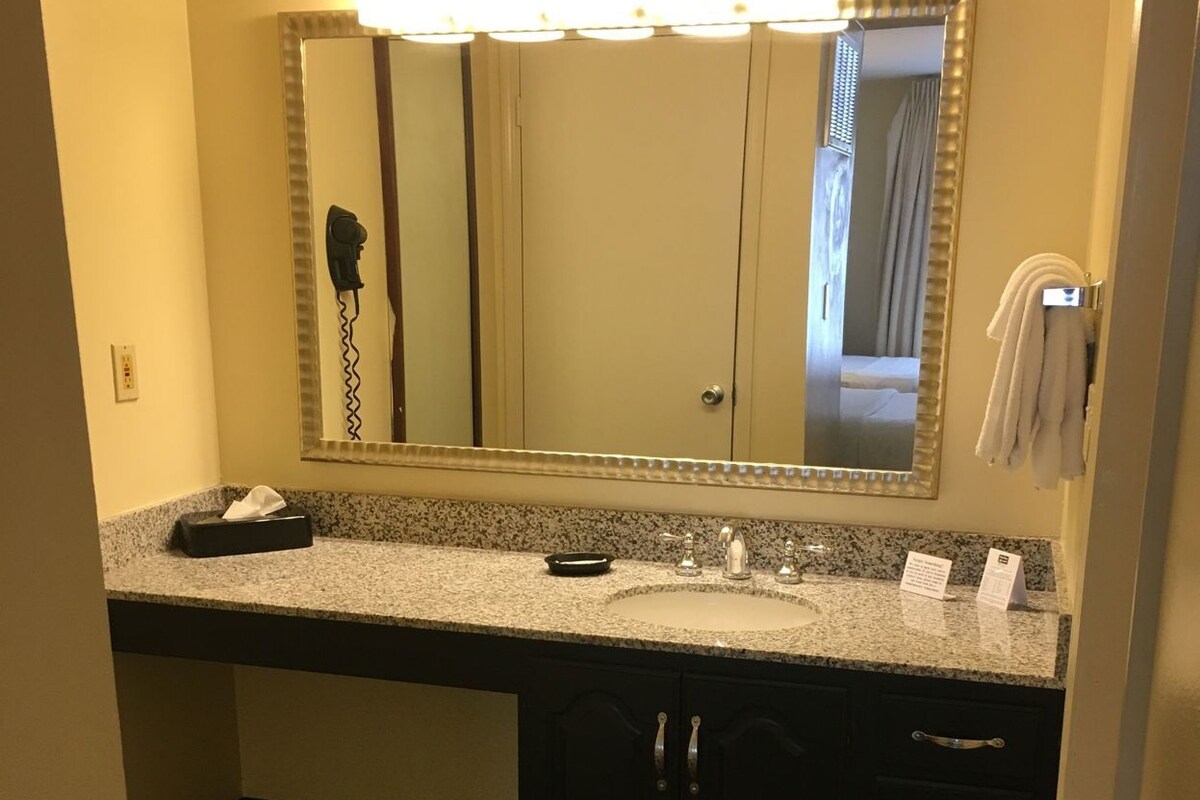 A bathroom with a vanity, a mirror, a hairdryer, and a towel rack.