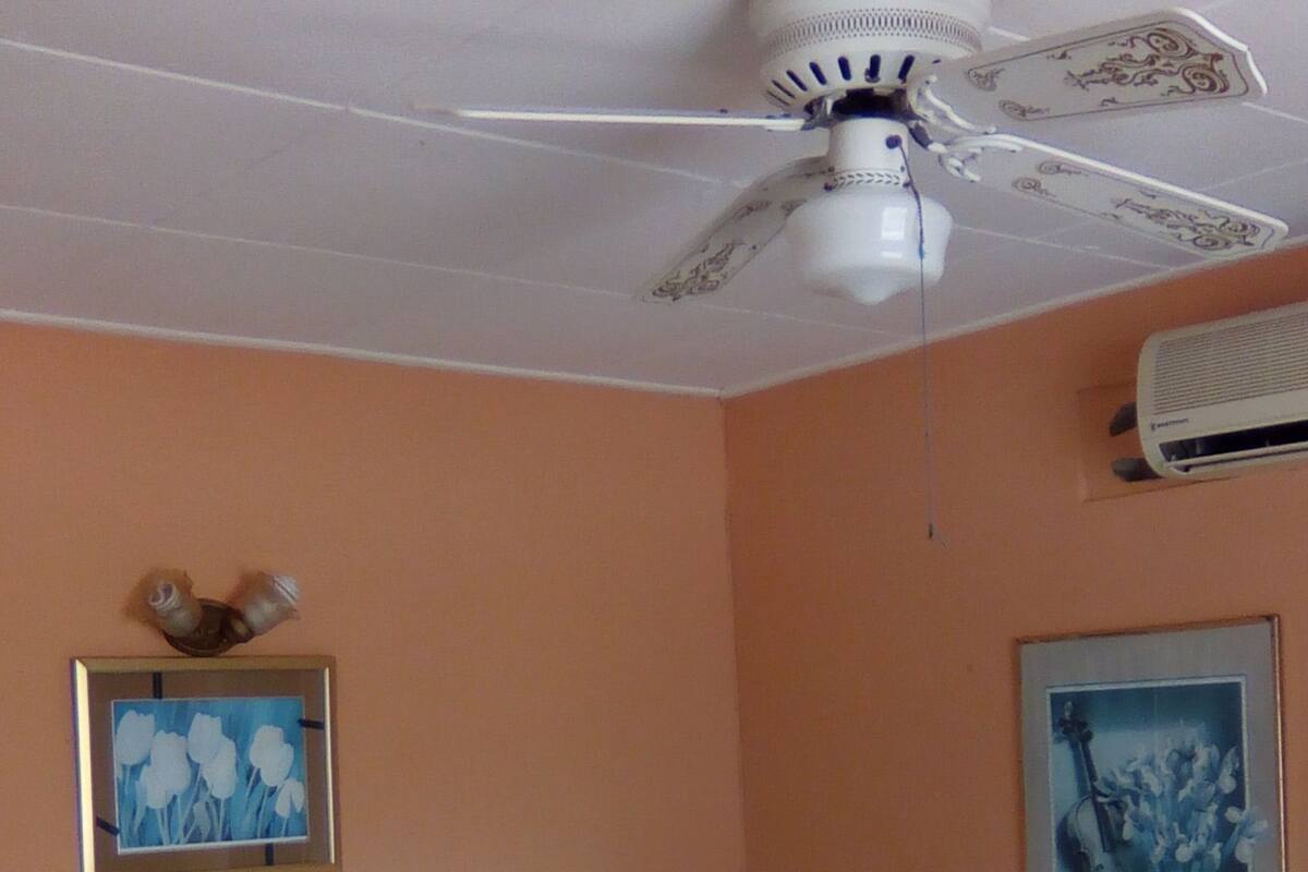 A bedroom with a bed, a ceiling fan, a wall-mounted heater, and two framed pictures.
