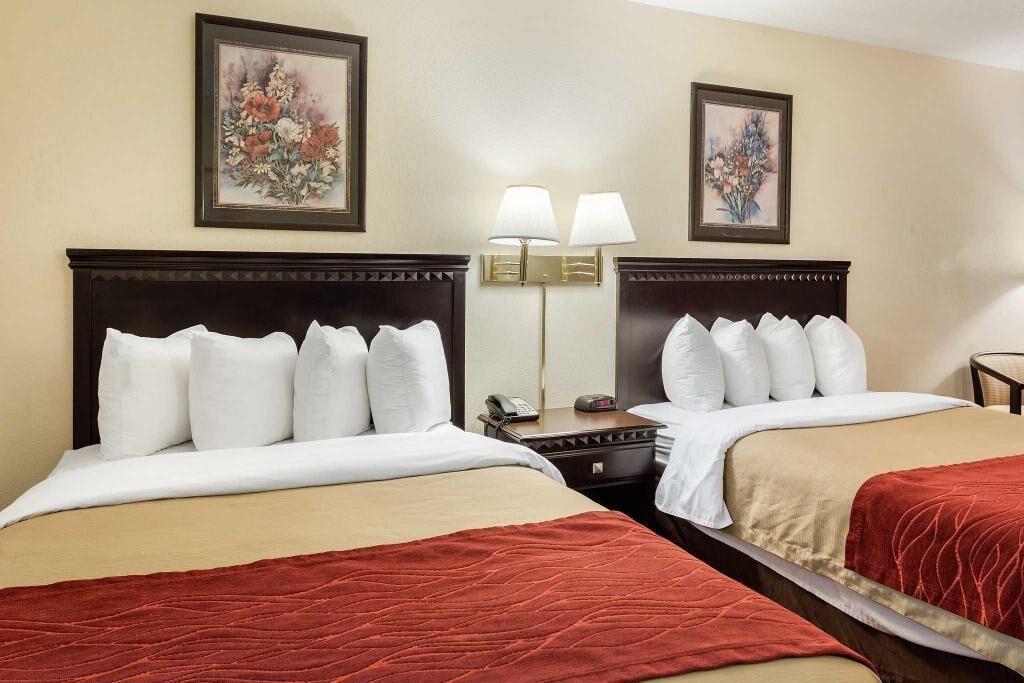 Ropa de cama de alta calidad, escritorio y cortinas blackout 