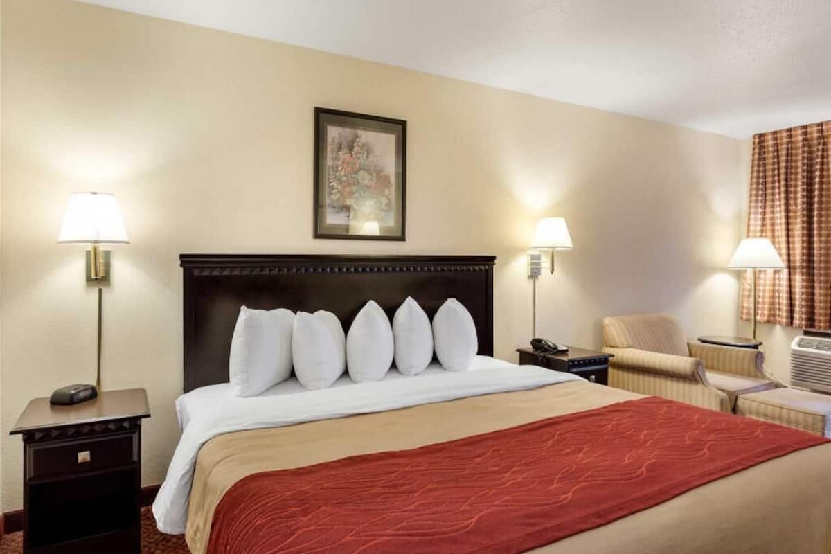 Ropa de cama de alta calidad, escritorio y cortinas blackout