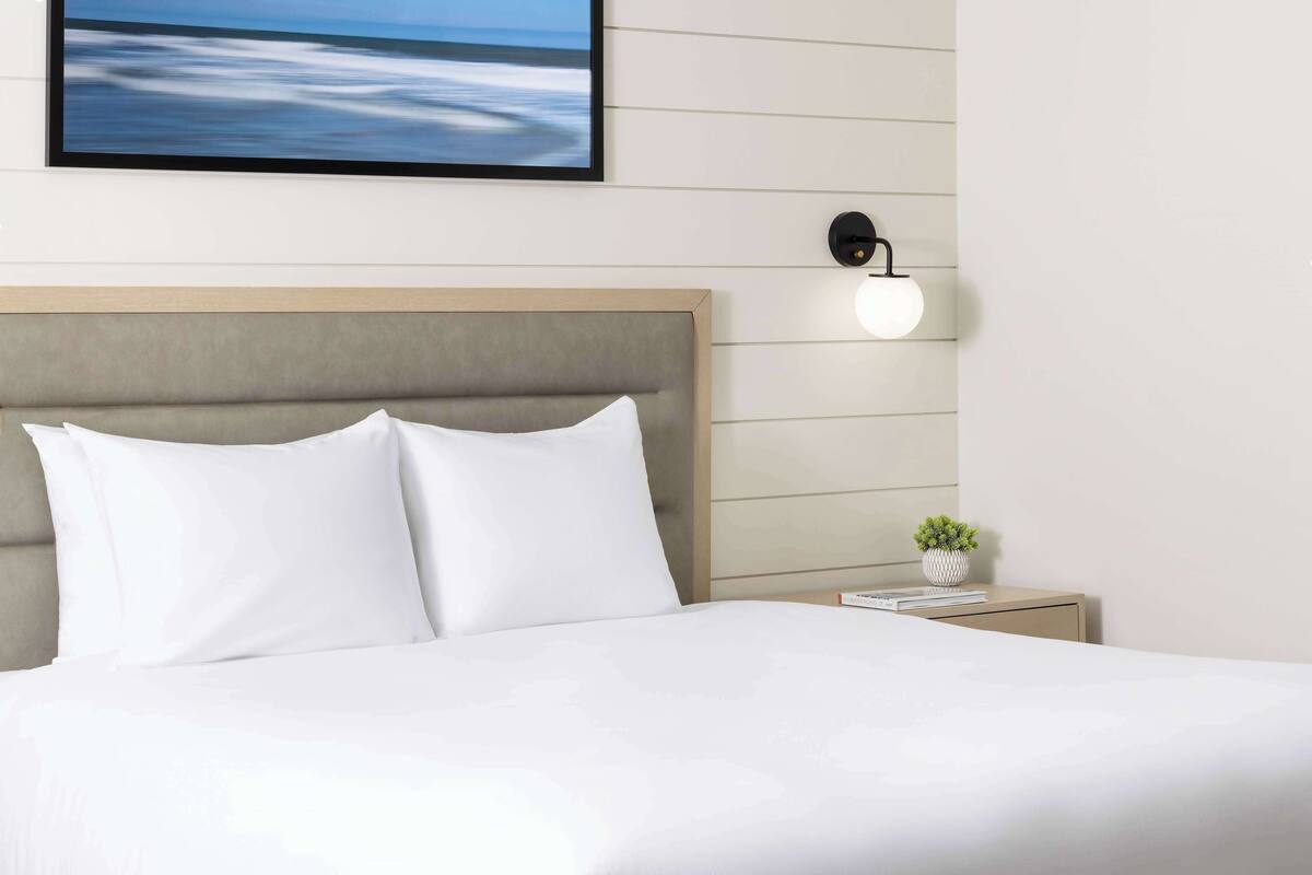 A neatly made bed with white linens, a headboard, and a bedside table with a small plant.