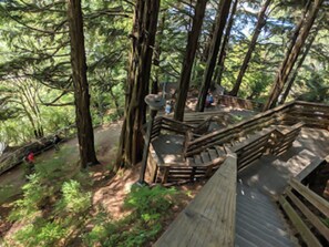 Hiking - (Ketchikan)
