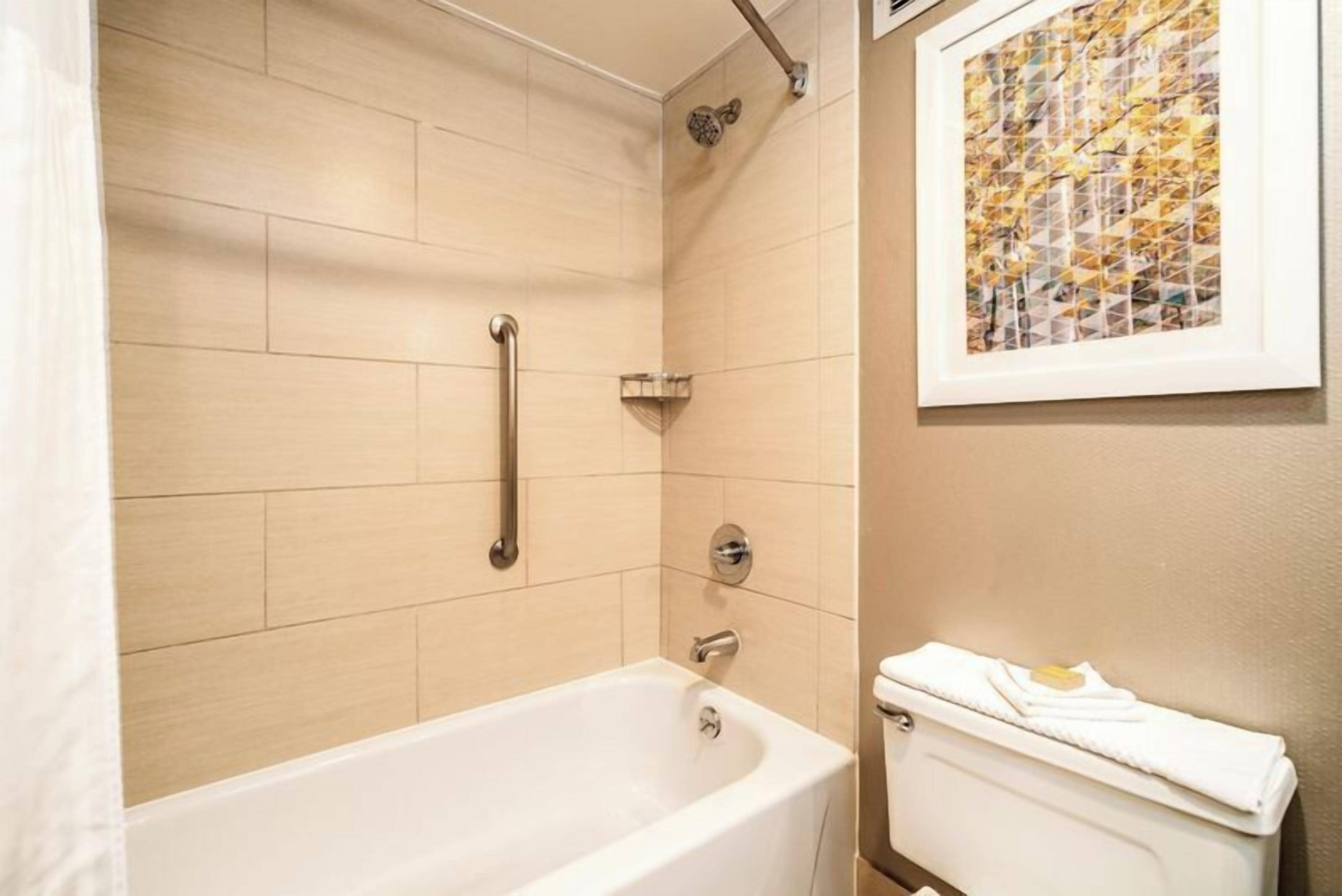 Ein Badezimmer mit Badewanne, Dusche und Toilette. An der Wand hängt ein gerahmtes Bild.