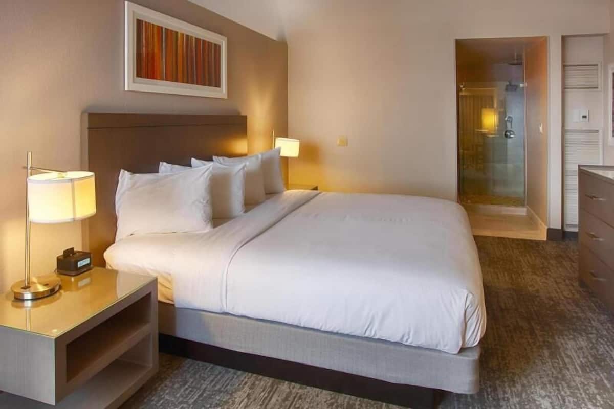1 bedroom, hypo-allergenic bedding, down comforters, in-room safe