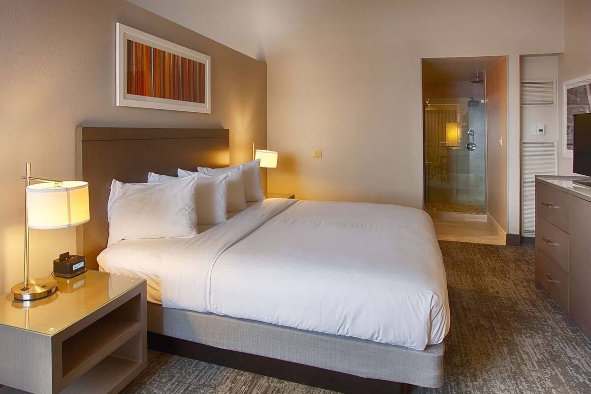 1 chambre, literie hypoallergénique, couette en duvet d'oie