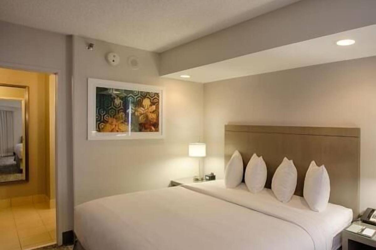 1 chambre, literie hypoallergénique, couette en duvet d'oie