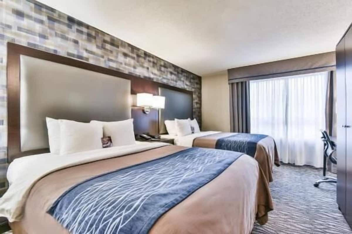 Bộ đồ giường cao cấp, nệm có lớp đệm bông, bàn, màn/rèm cản sáng