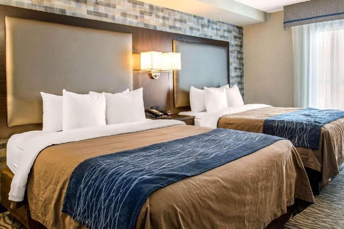 Premium bedding, pillow-top beds, desk, blackout curtains