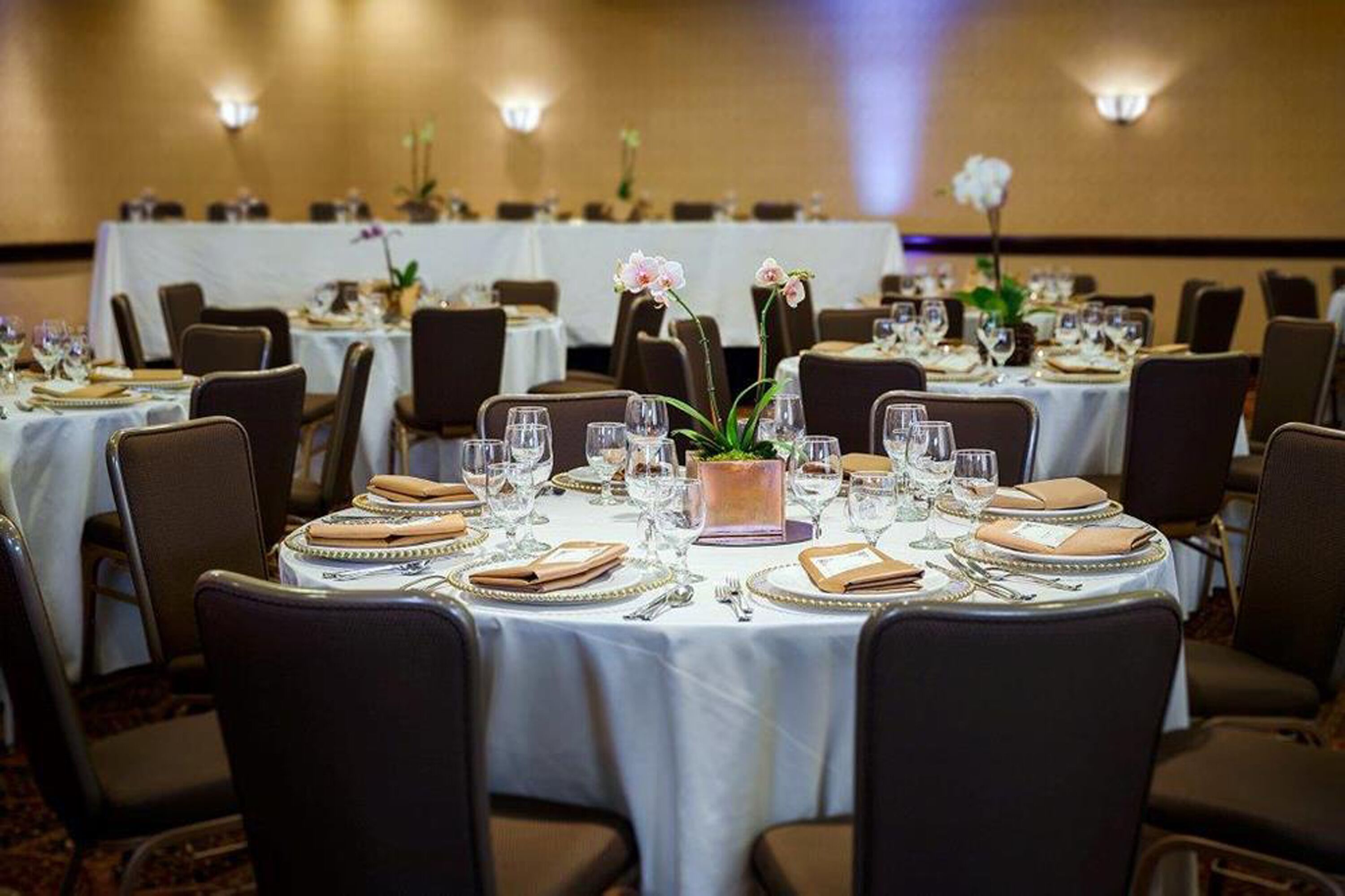 Foto - Concord Plaza Hotel