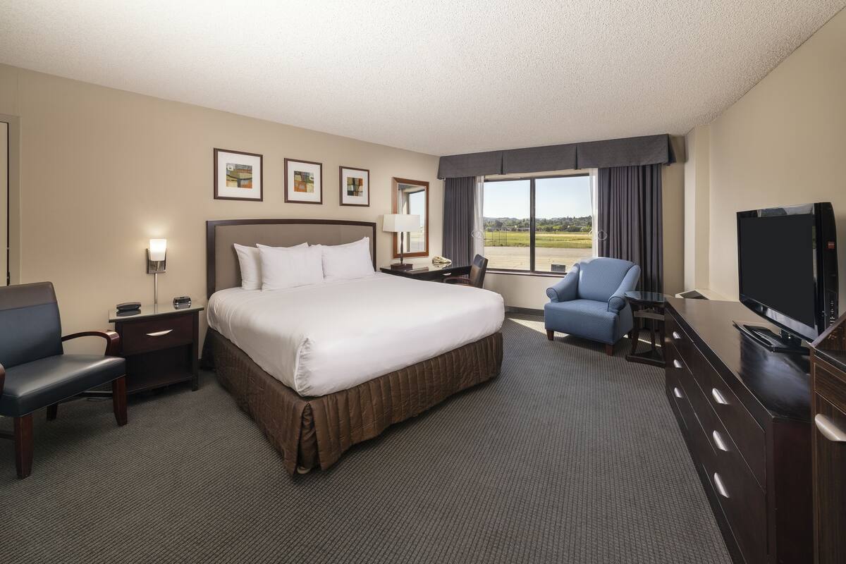 A hotel room with a large bed, a desk with a chair, a television, and a window with a view of the outdoors.
