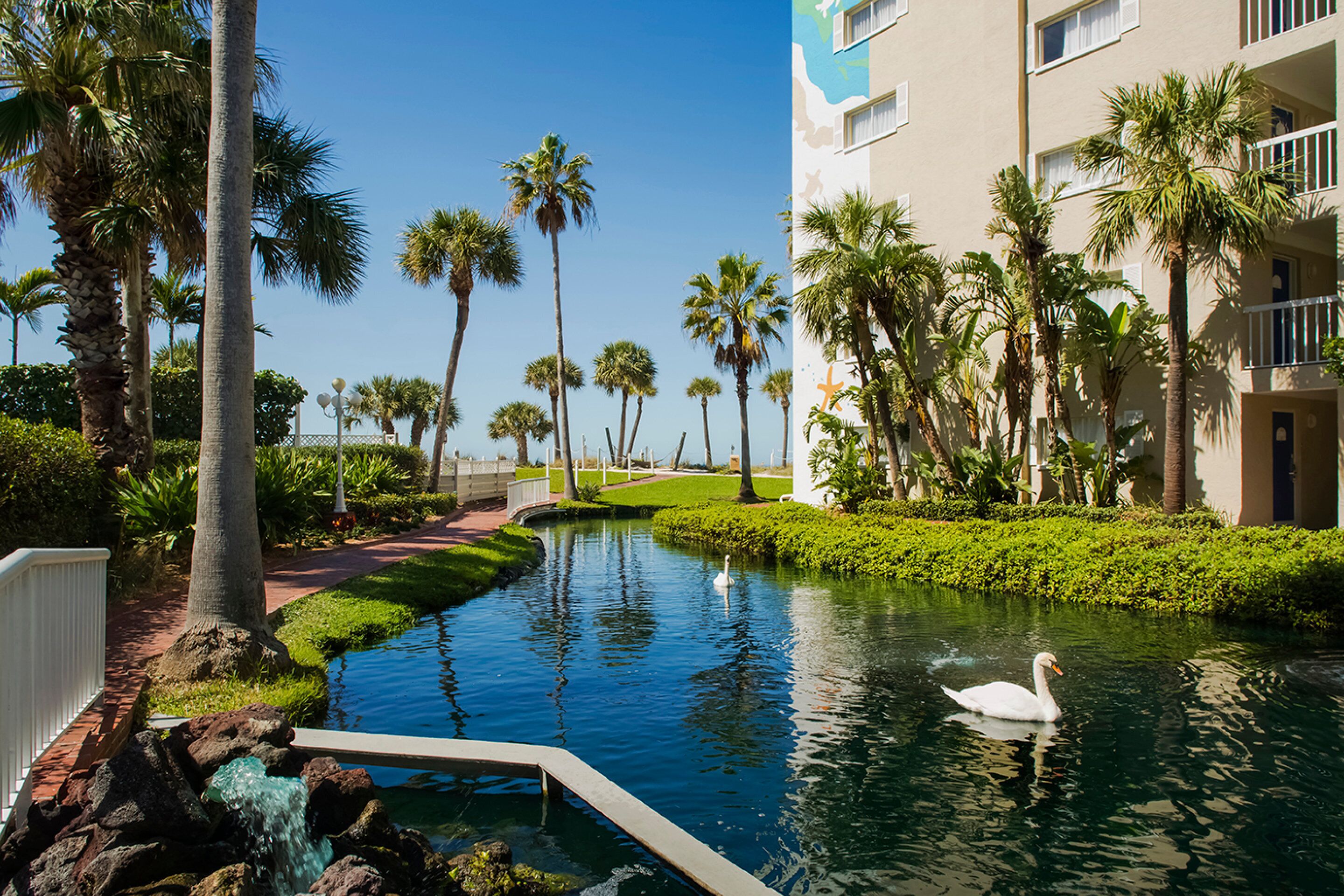 Un patio de hotel tranquilo con piscina, palmeras y un cisne.