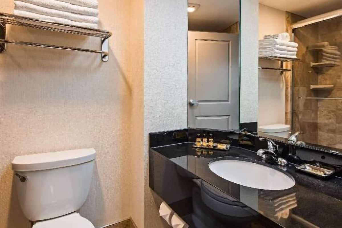 Free toiletries, hair dryer, towels