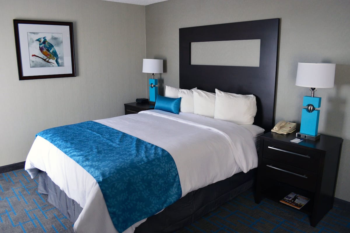 Egyptian cotton sheets, premium bedding, down duvets, pillow-top beds