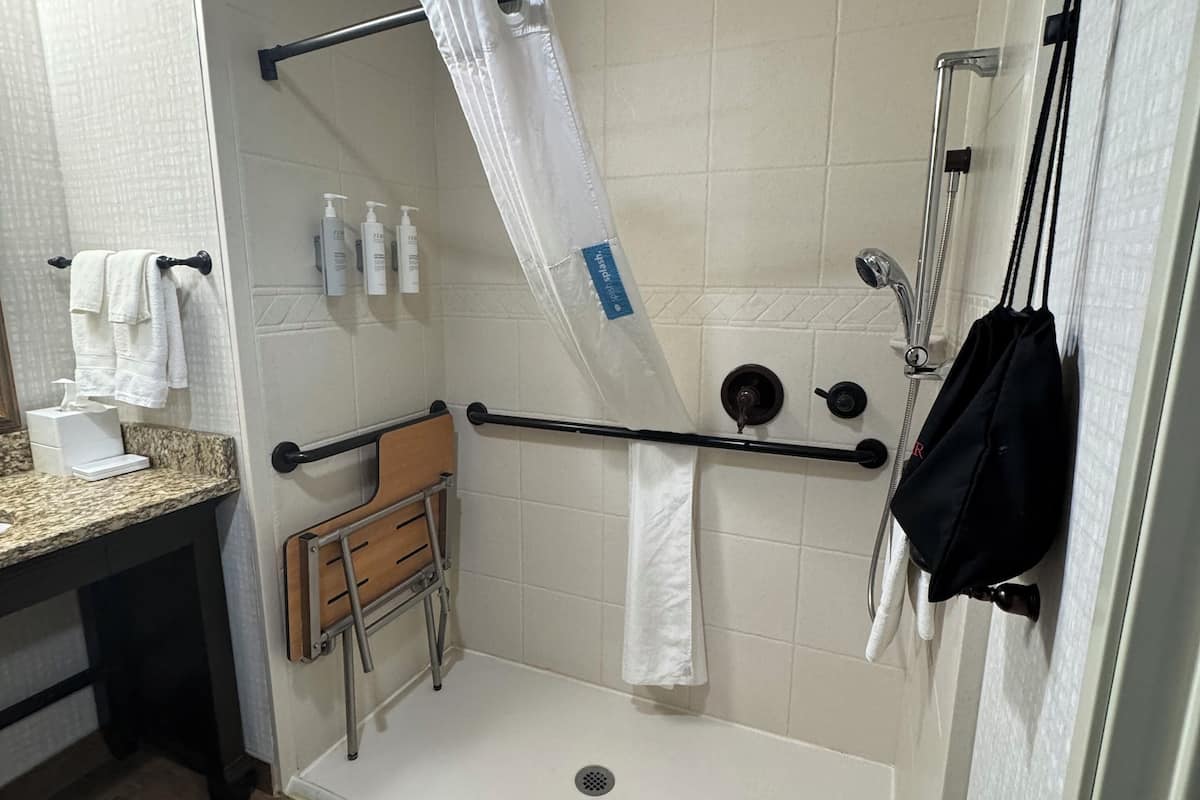 combined shower/bathtub, free toiletries, hair dryer, towels
