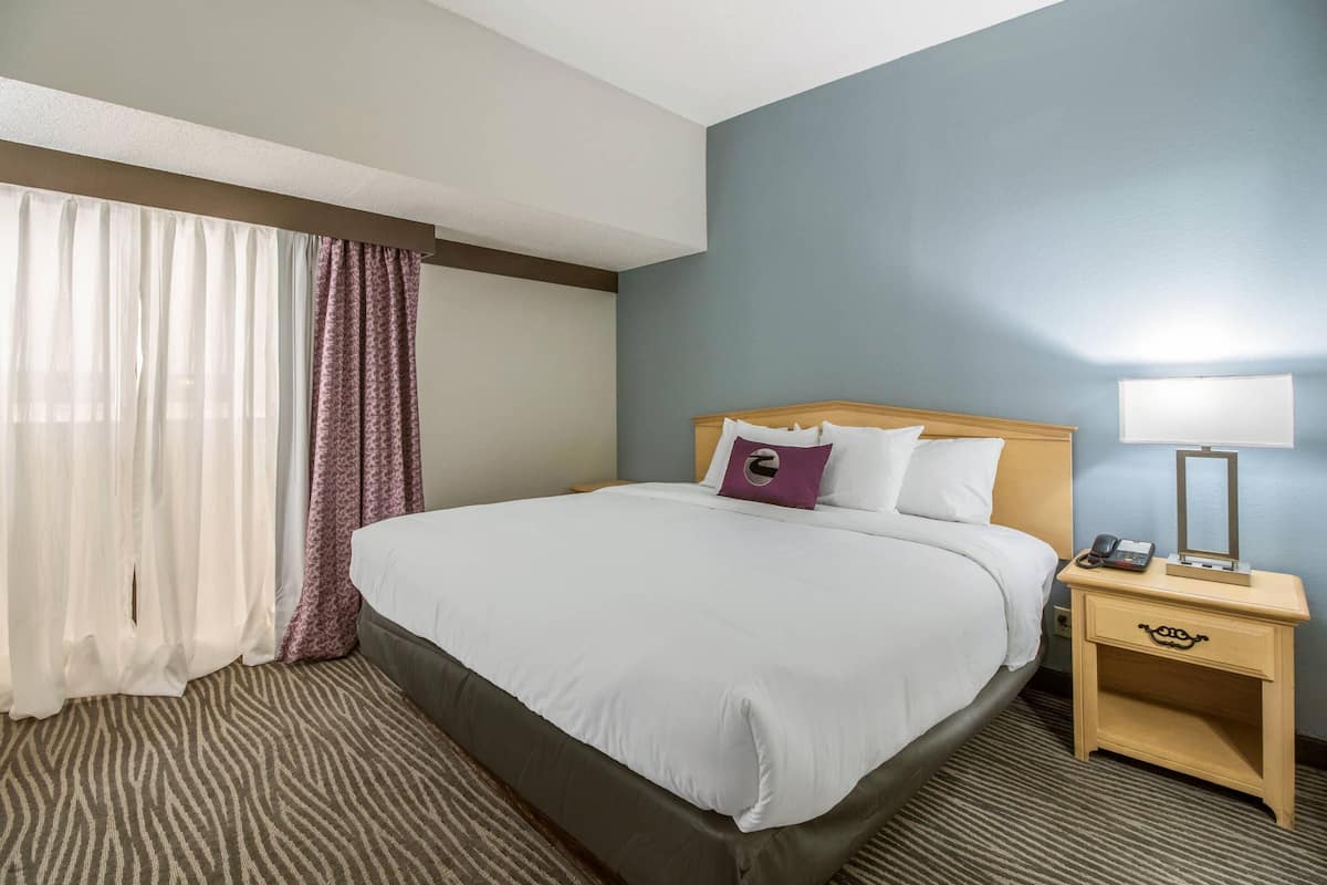 Suite, 1 Kind Bed with Sofa bed, Non Smoking | Desk, iron/ironing board, free cribs/infant beds, rollaway beds