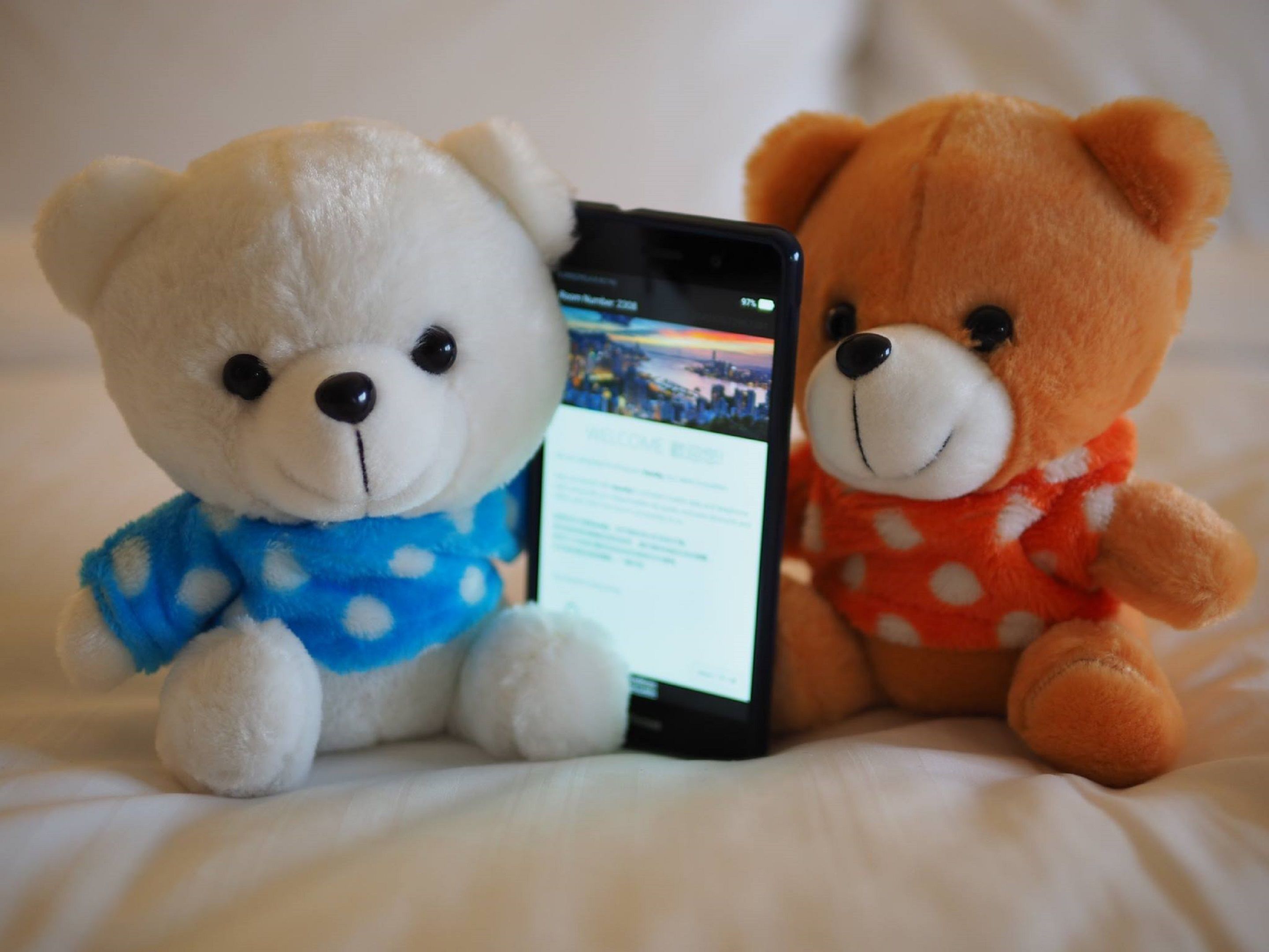 Servicios de la habitación