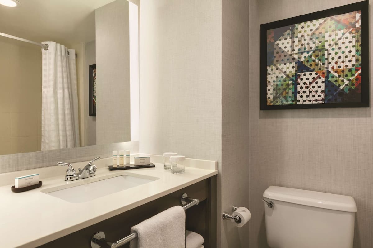 combined shower/bathtub, free toiletries, hair dryer, towels