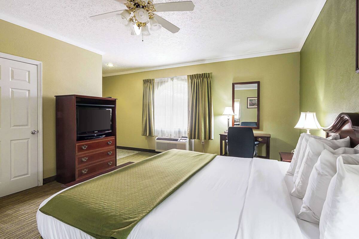A hotel room with a bed, a television, a desk, a chair, a lamp, and a ceiling fan.