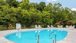Une piscine entourée d’arbres, avec des chaises longues et des parasols.