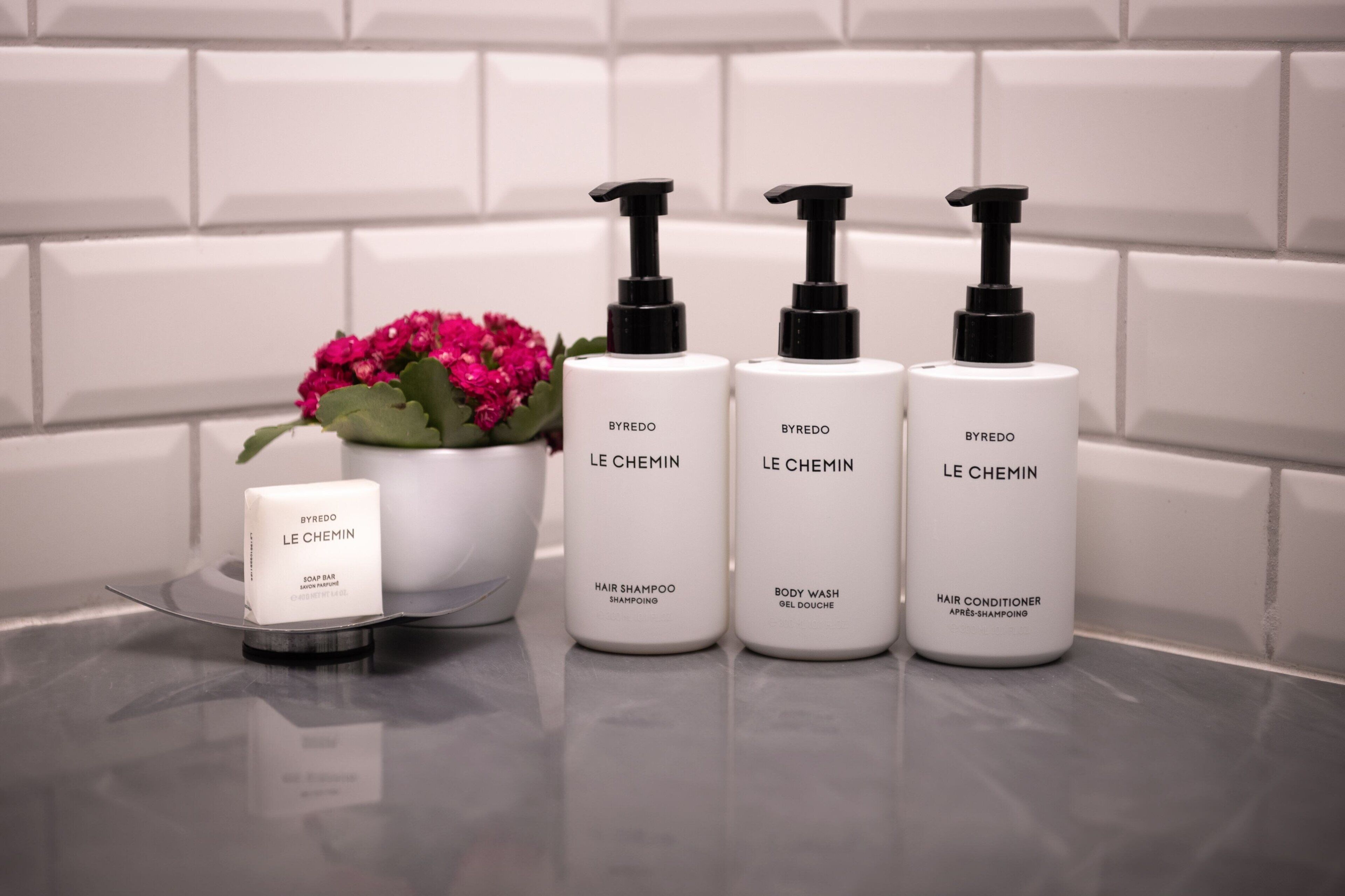 Cuatro productos capilares BYREDO Le Chemin sobre una superficie reflectante junto a una planta en maceta y una pastilla de jabón.