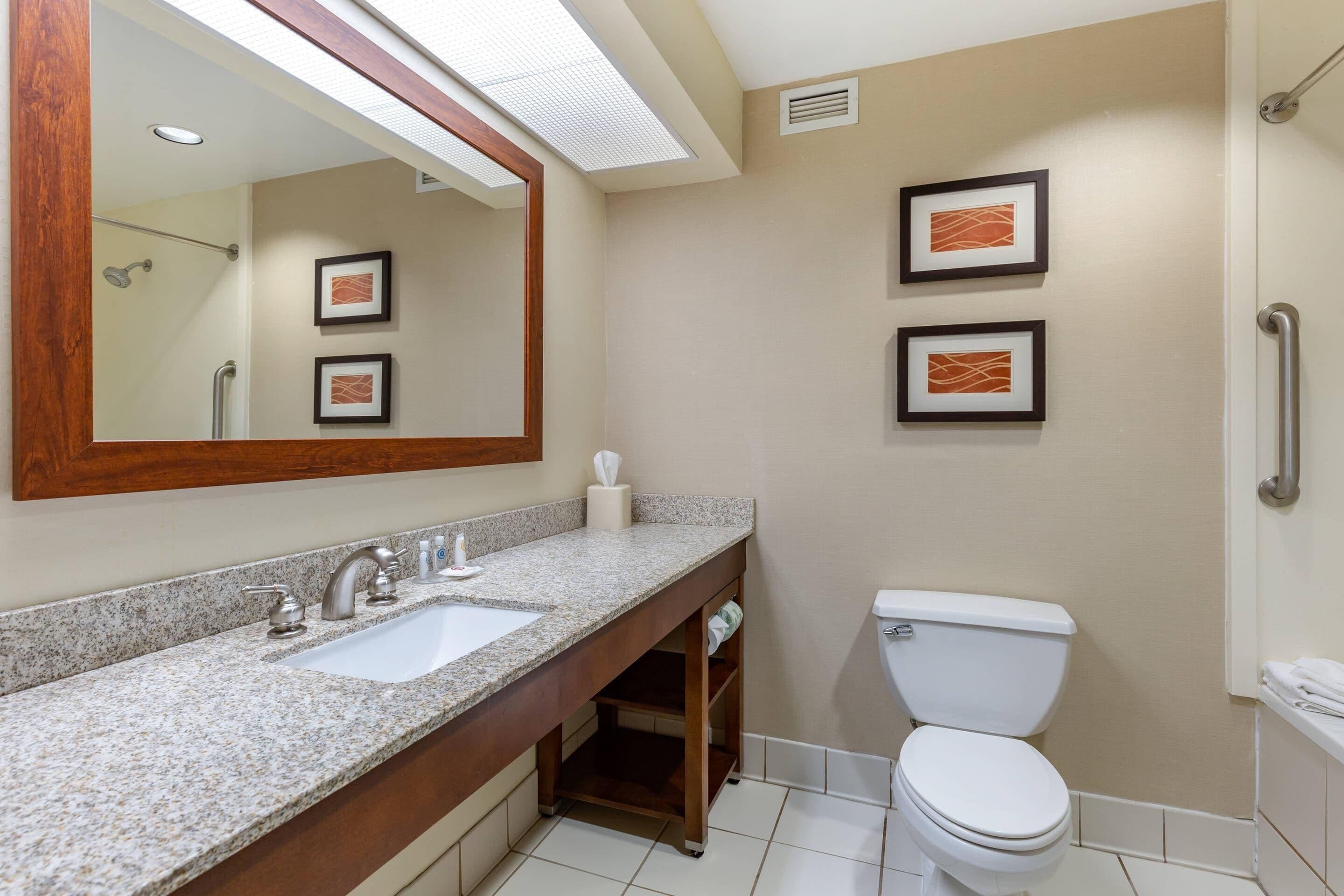 A bathroom with a granite countertop sink, a white toilet, and framed artwork on the wall.