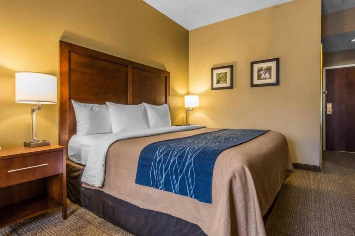 A hotel room with a bed, a nightstand, a lamp, and two framed pictures on the wall.