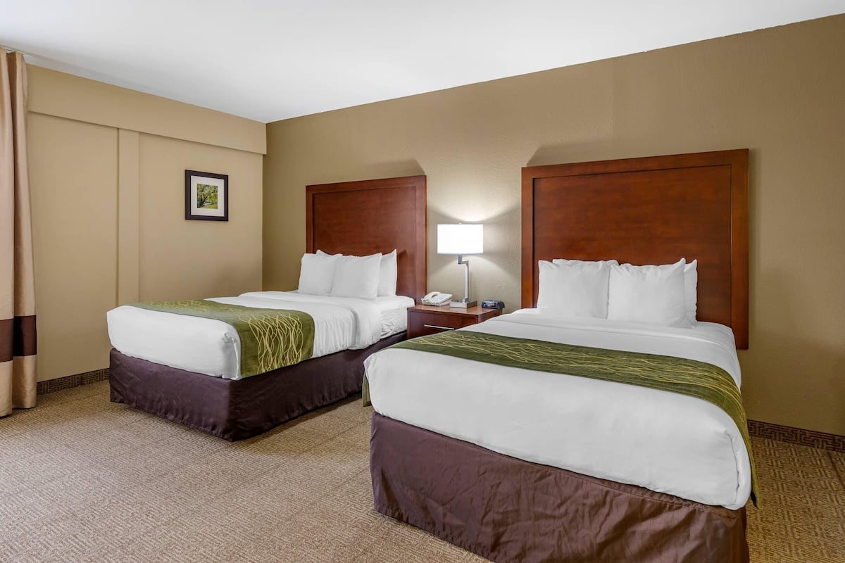 2 Double Beds, Family Suite | Premium bedding, pillowtop beds, desk, blackout drapes