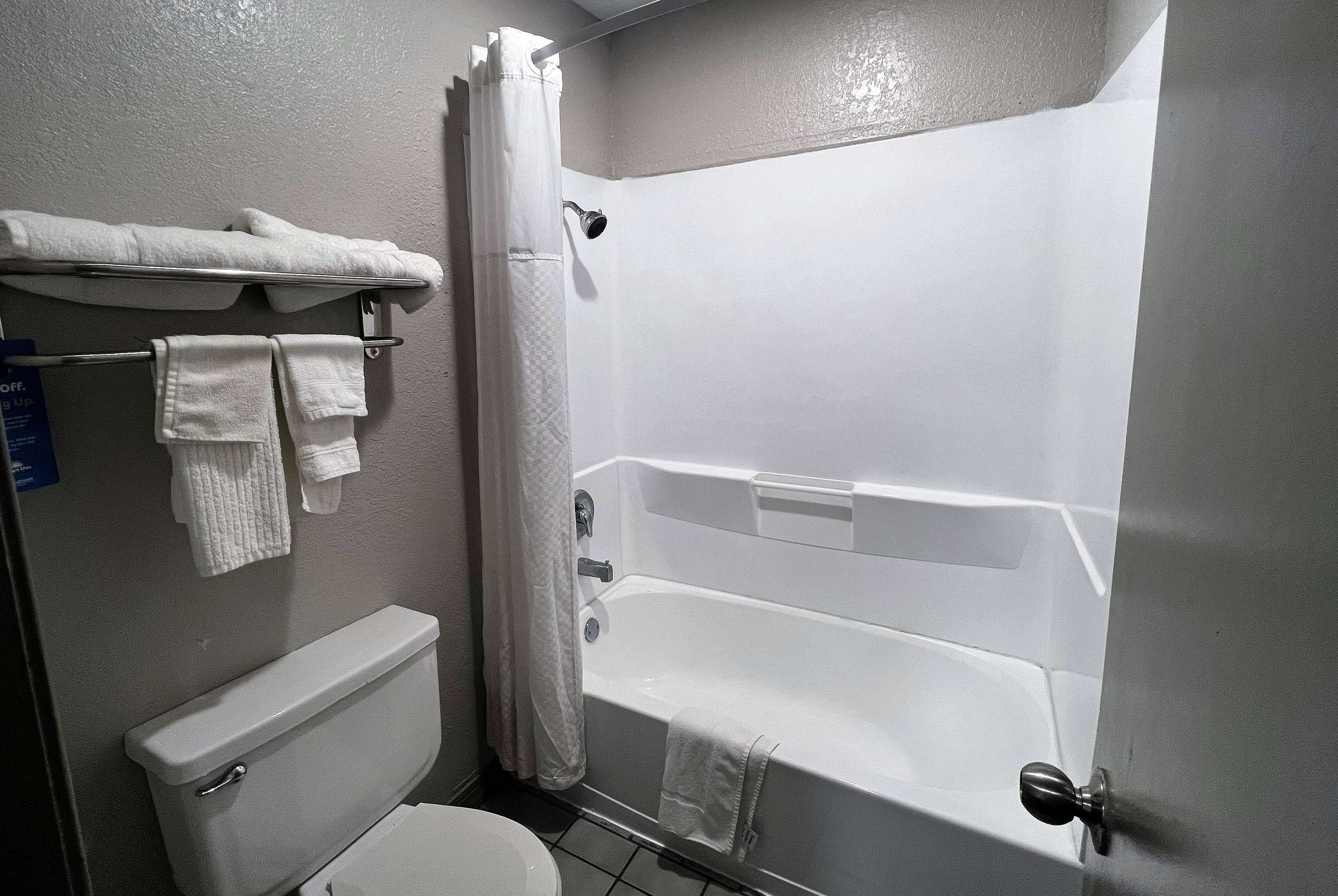 A bathroom with a toilet, a bathtub, and a shower curtain.