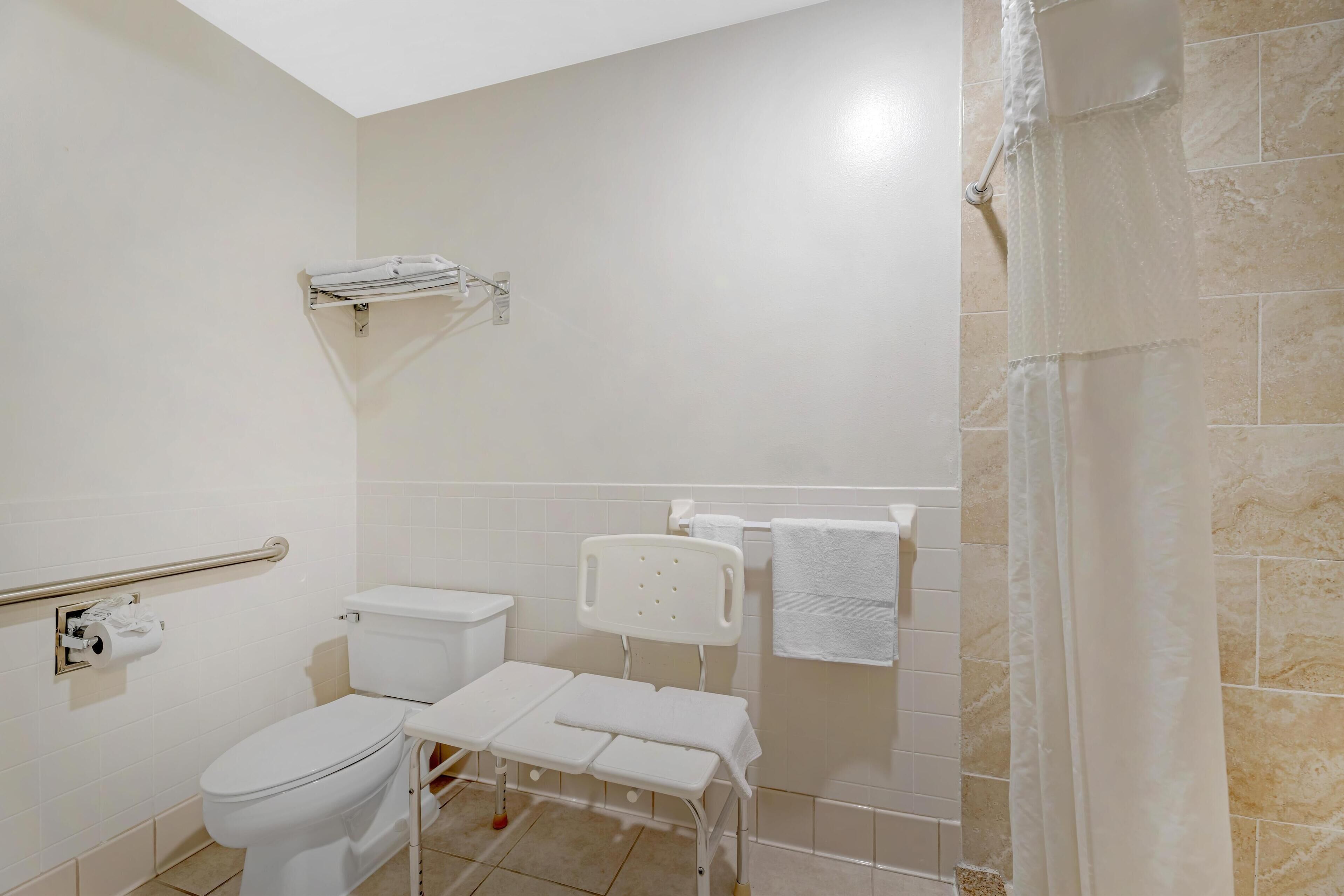 standard room, 1 king bed, accessible, refrigerator & microwave | bathroom | combined shower/bathtub, eco-friendly toiletries, hair dryer, towels