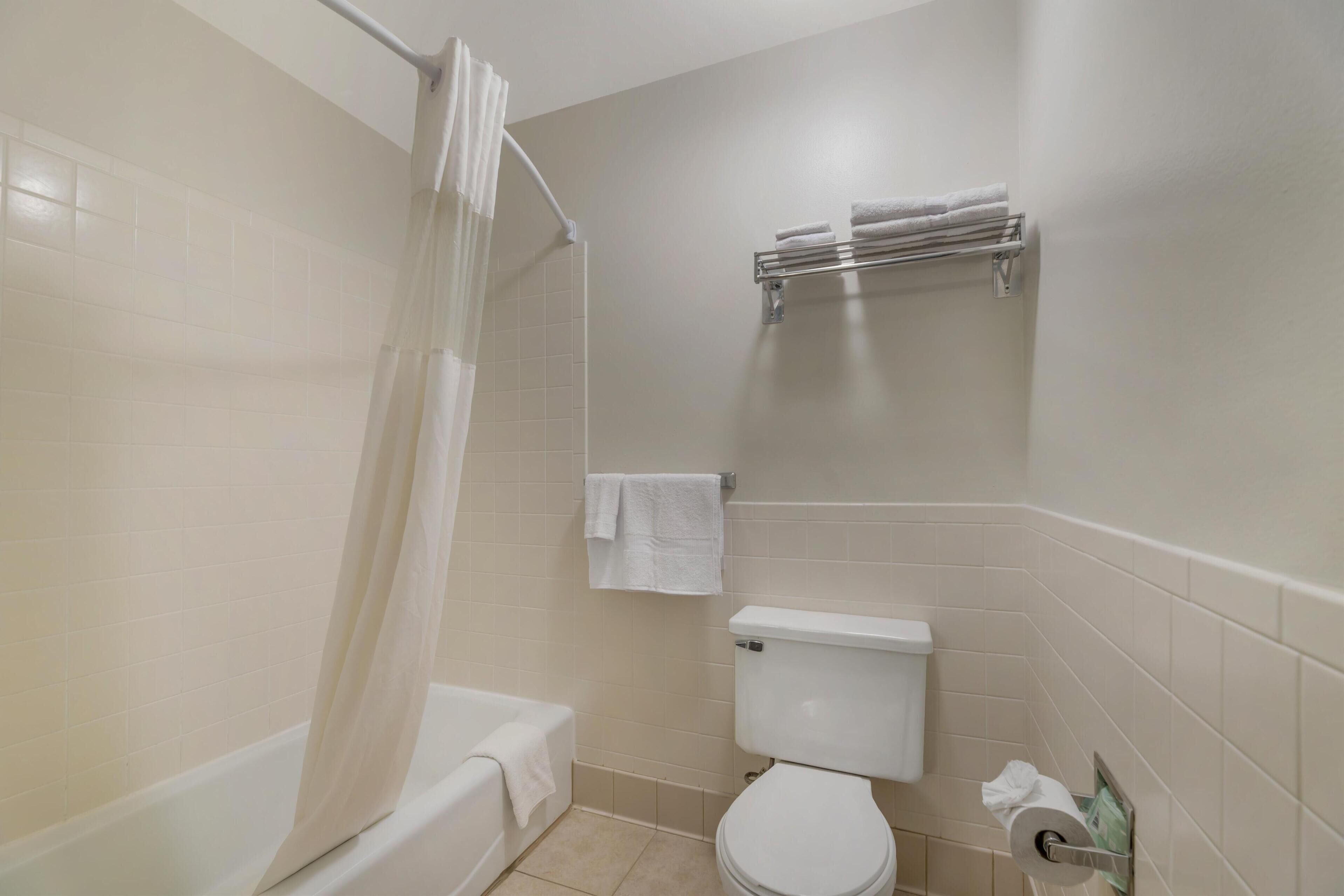 standard room, 1 king bed, non smoking, jetted tub | bathroom | combined shower/bathtub, eco-friendly toiletries, hair dryer, towels