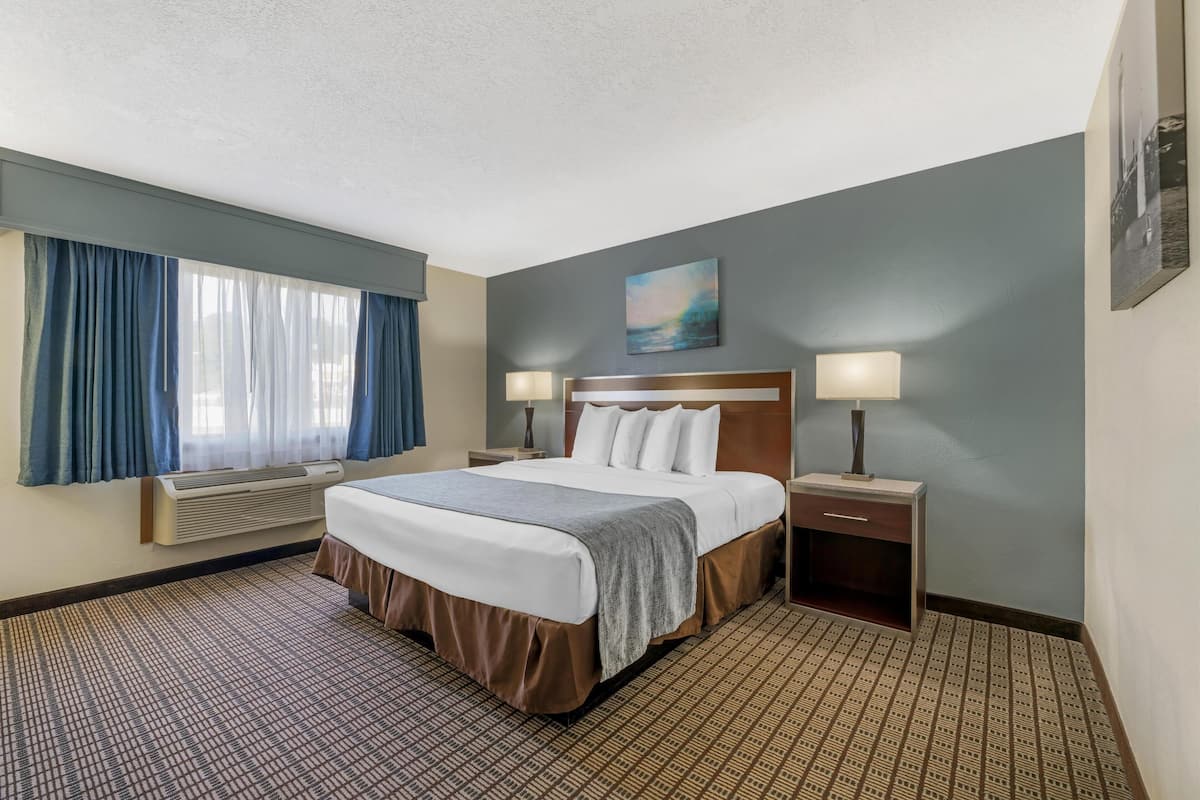 Standard Room, 1 King Bed, Accessible, Refrigerator & Microwave | Iron/ironing board, WiFi, bed sheets