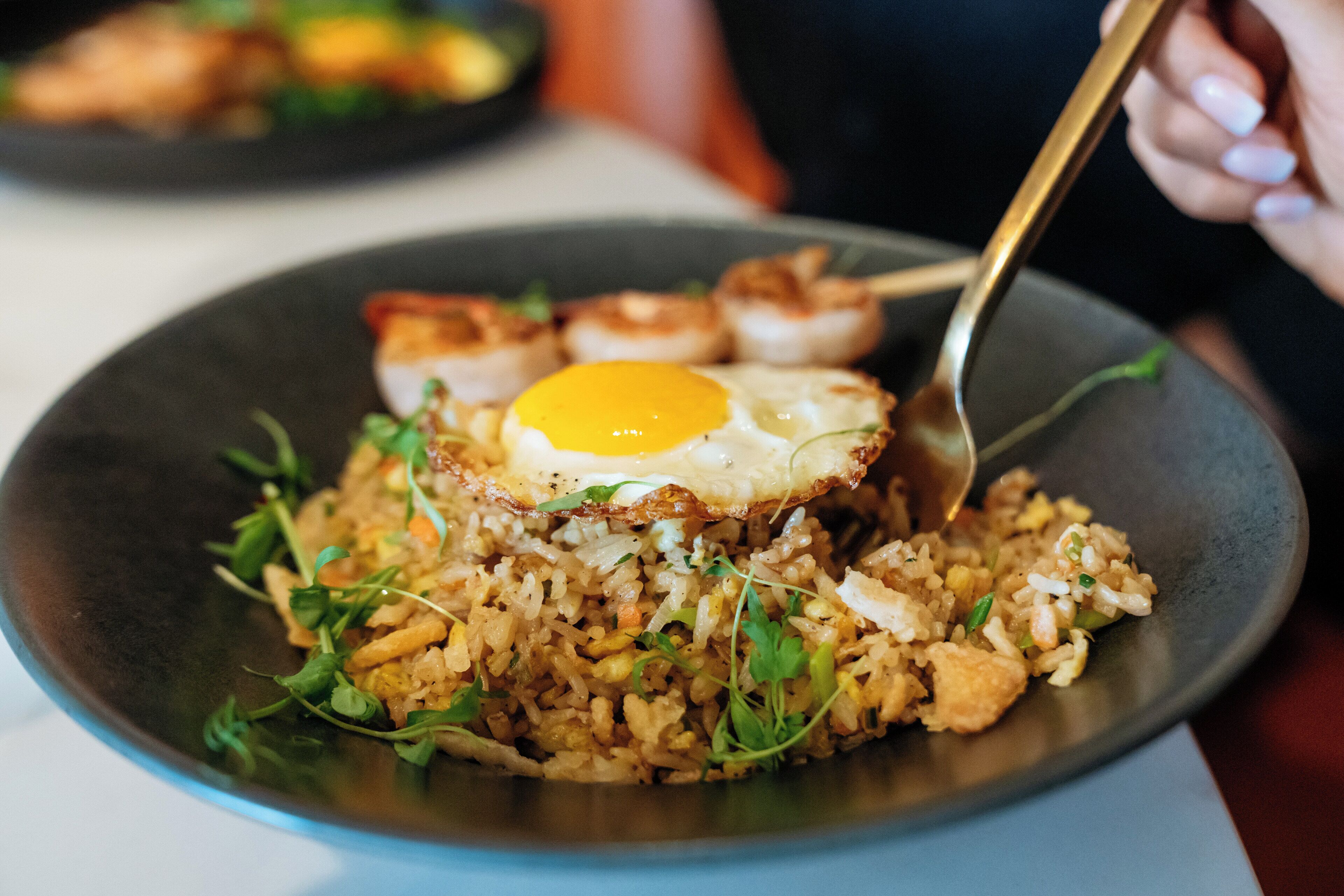 A plate of fried rice with a fried egg on top, garnished with greens, and a piece of meat.